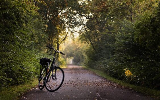 bike, trail, bicycle, sport, ride, exercise, recreation, path, lifestyle, bike, bike, bike, bike, bike, bicycle, bicycle, bicycle, exercise, exercise